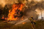 مهار آتش‌سوزی در جنگل‌های روستای “انبارته” دلفان