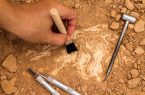 آغاز بررسی و شناسایی باستان‌شناسی در پلدختر