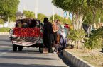 ساماندهی میوه فروشان سیار در دستور کار شهرداری خرم‌‌آباد