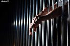 سه ماه حبس برای درمانگر غیر مجاز دام در بروجرد