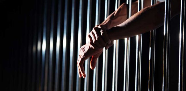 سه ماه حبس برای درمانگر غیر مجاز دام در بروجرد