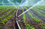 دولت سیزدهم ۲۸۸ پروژه کشاورزی در لرستان احداث کرد